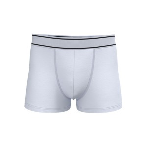 Boxer