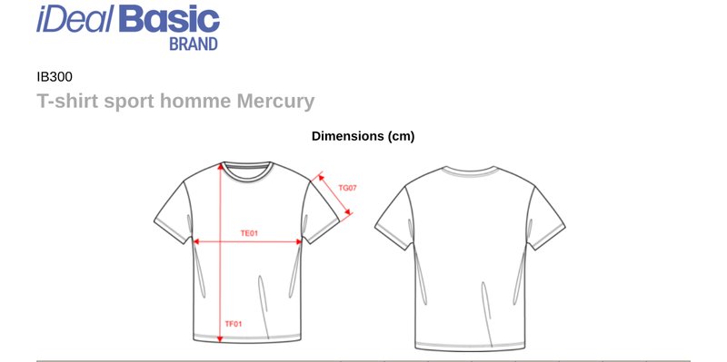 Schema mesures IB300