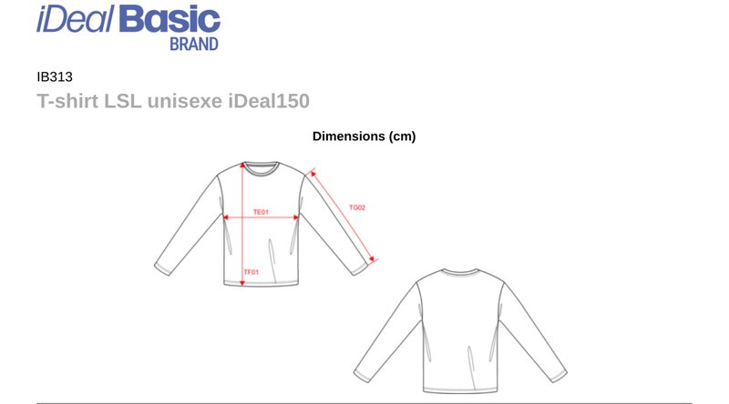 Schema mesures IB313