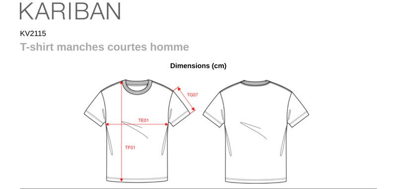 Schema mesures KV2115