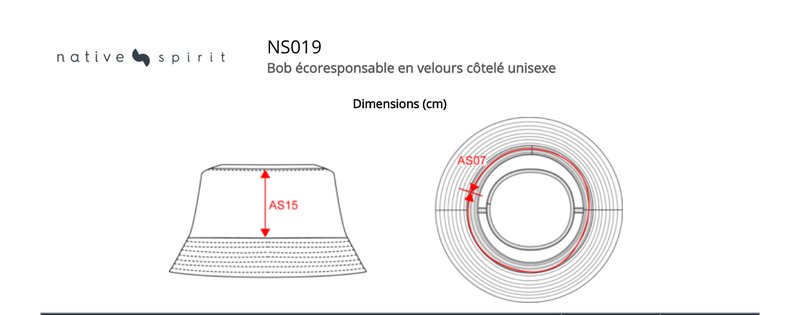 Schema mesures NS019