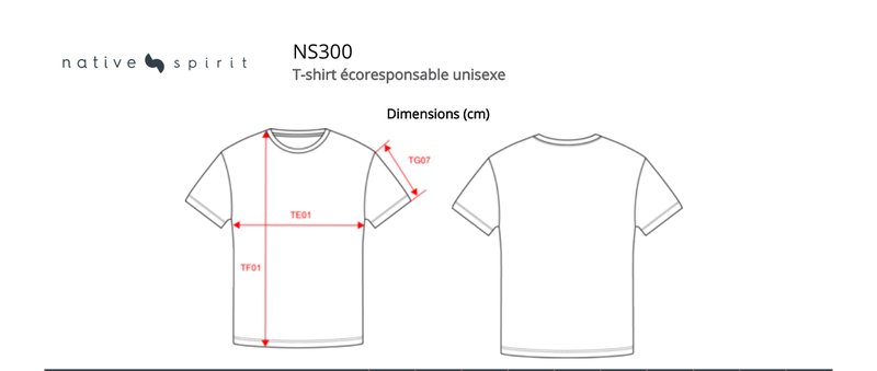 Schema mesures NS300