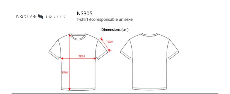 Schema mesures NS305