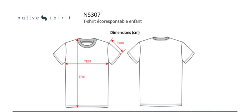 Schema mesures NS307