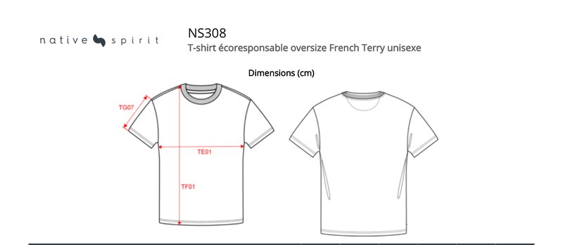 Schema mesures NS308