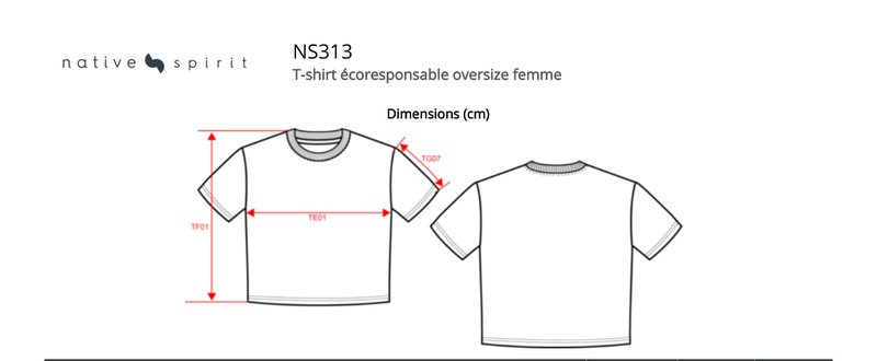 Schema mesures NS313