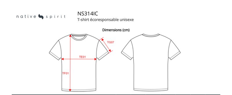 Schema mesures NS314IC