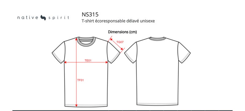 Schema mesures NS315