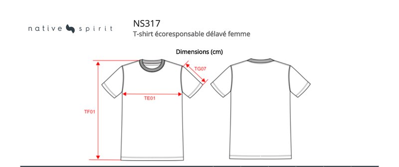 Schema mesures NS317