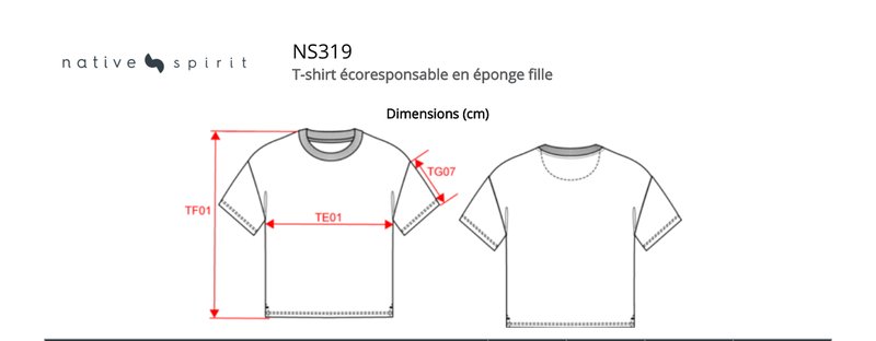 Schema mesures NS319