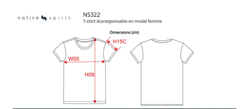 Schema mesures NS322