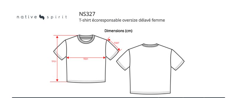 Schema mesures NS327