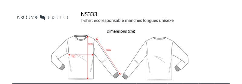 Schema mesures NS333
