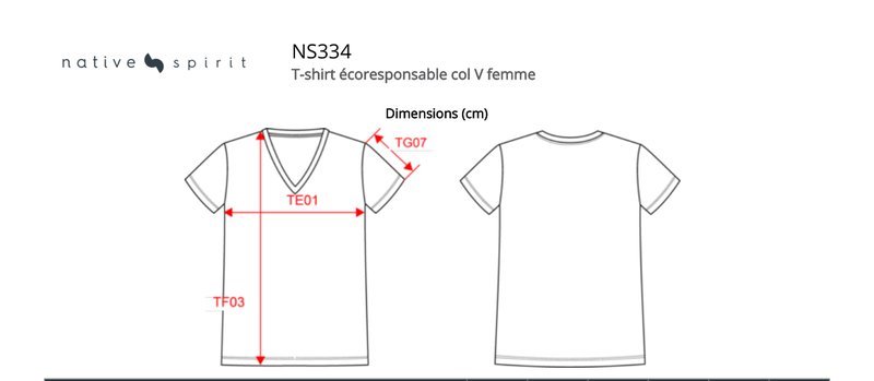 Schema mesures NS334