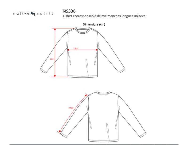 Schema mesures NS336