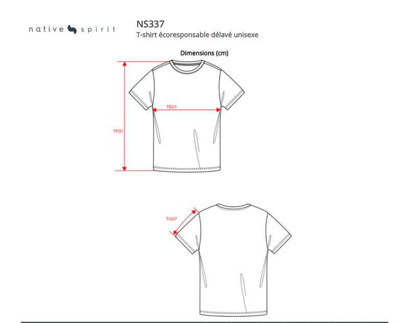 Schema mesures NS337