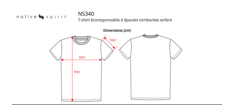 Schema mesures NS340