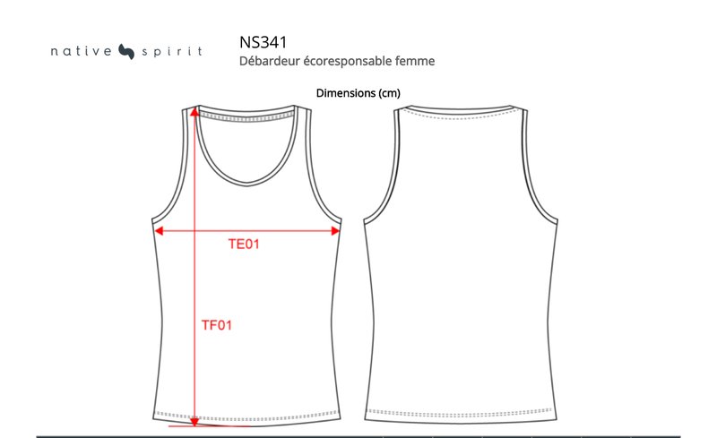 Schema mesures NS341
