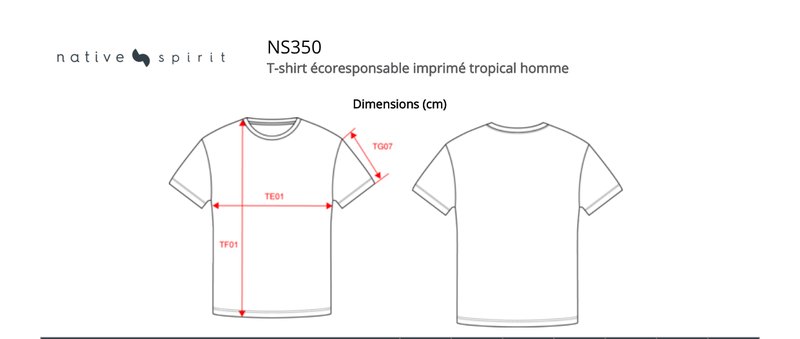 Schema mesures NS350