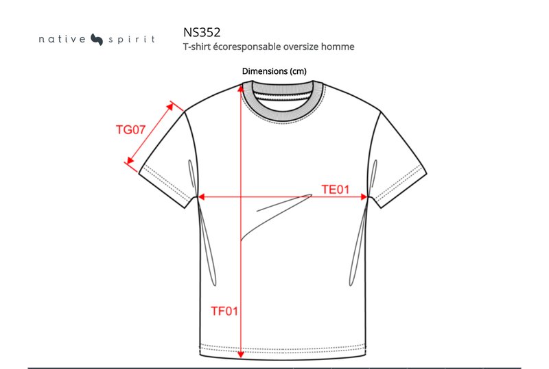 Schema mesures NS352