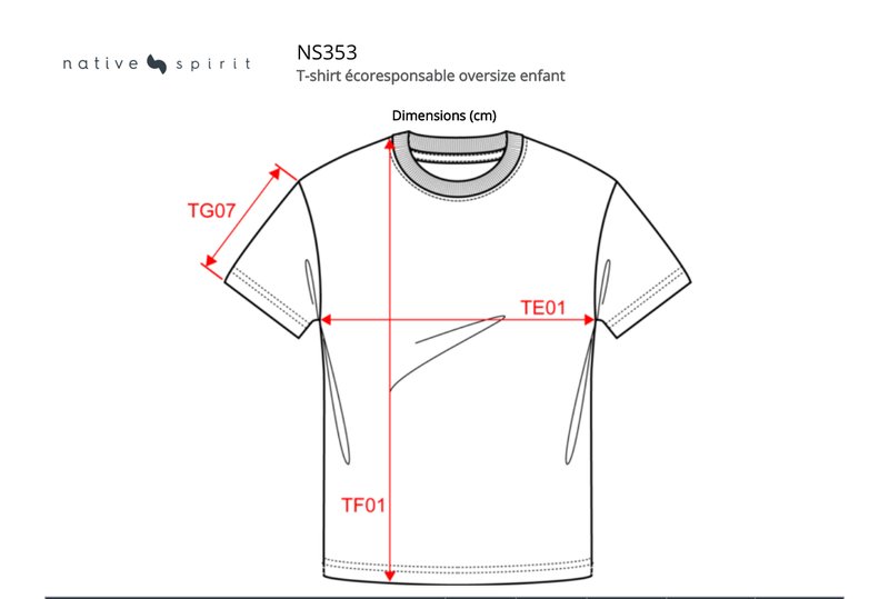 Schema mesures NS353