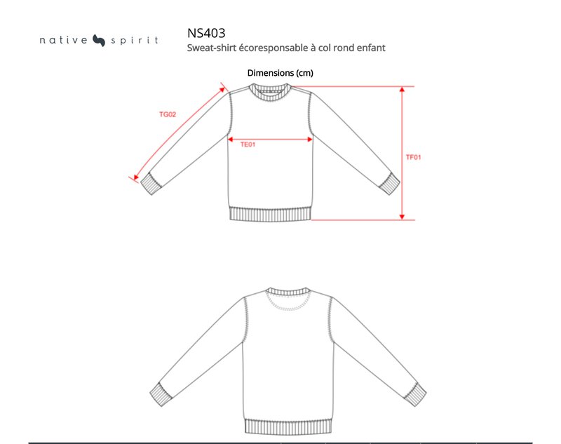 Schema mesures NS403
