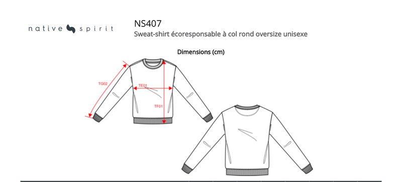 Schema mesures NS407