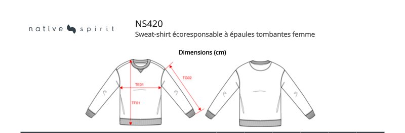 Schema mesures NS420