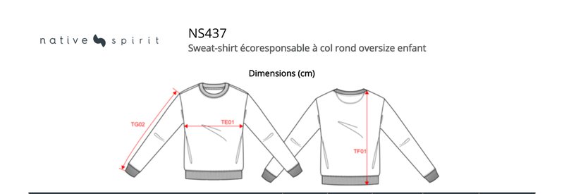 Schema mesures NS437