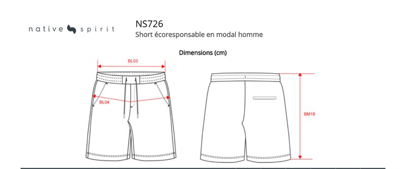 Schema mesures NS726