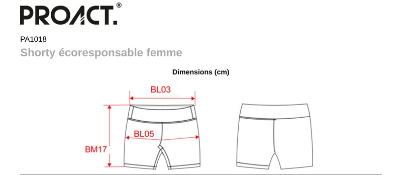 Schema mesures PA1018