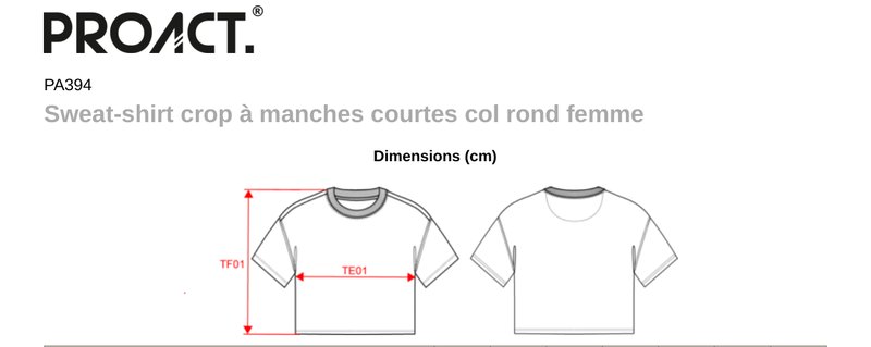 Schema mesures PA394