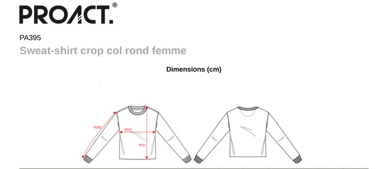Schema mesures PA395