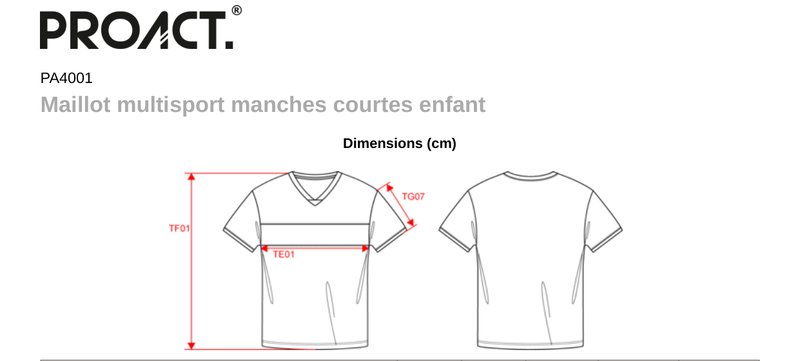 Schema mesures PA4001