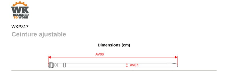 Schema mesures WKP817
